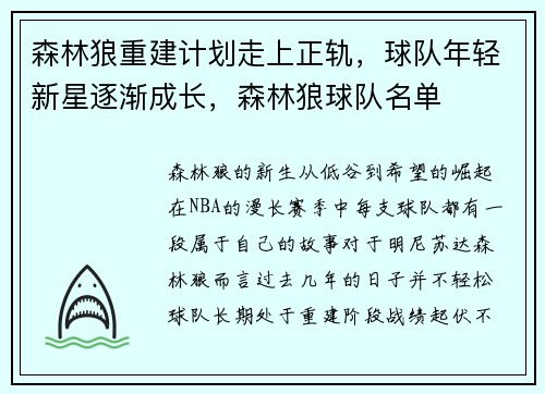 森林狼重建计划走上正轨，球队年轻新星逐渐成长，森林狼球队名单