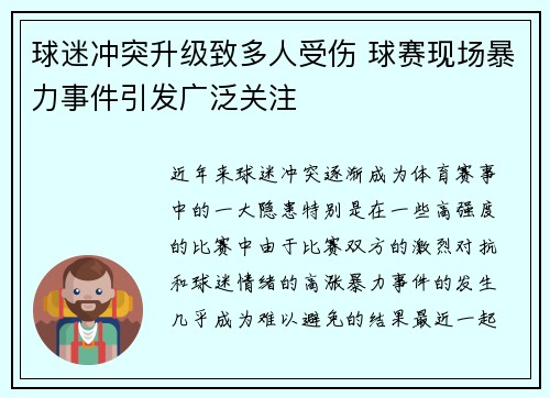 球迷冲突升级致多人受伤 球赛现场暴力事件引发广泛关注